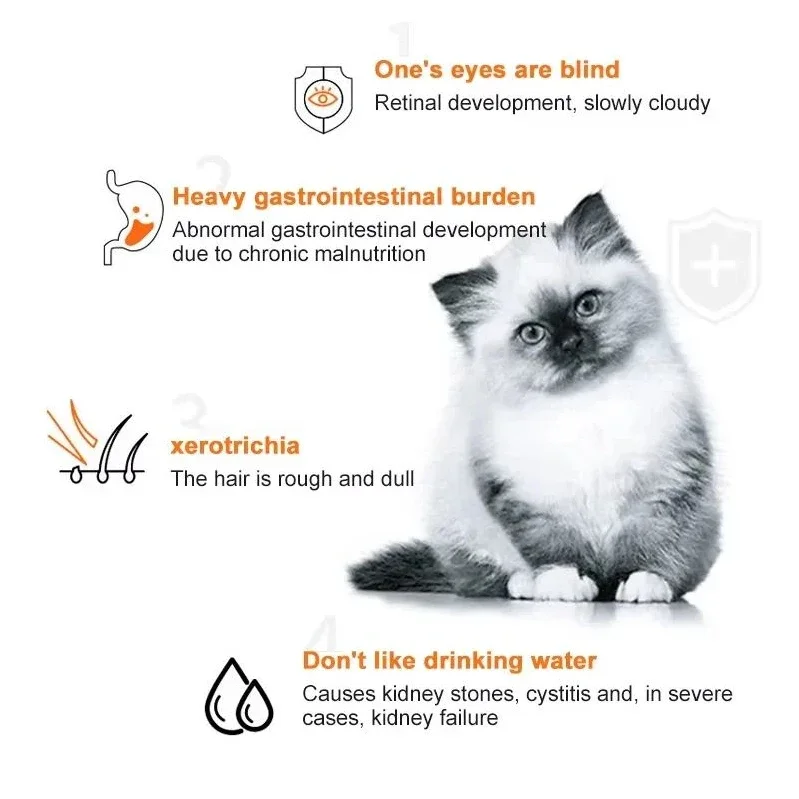 10pcs Cat Strips Pet Snacks Va - огляд і ціна Snacks Food Labels